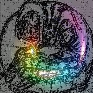 Meet your Posher, Gustavo